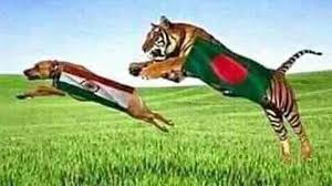 dirty-game-of-bangladeshi-cricket-fans-insulted-indian-tricolor